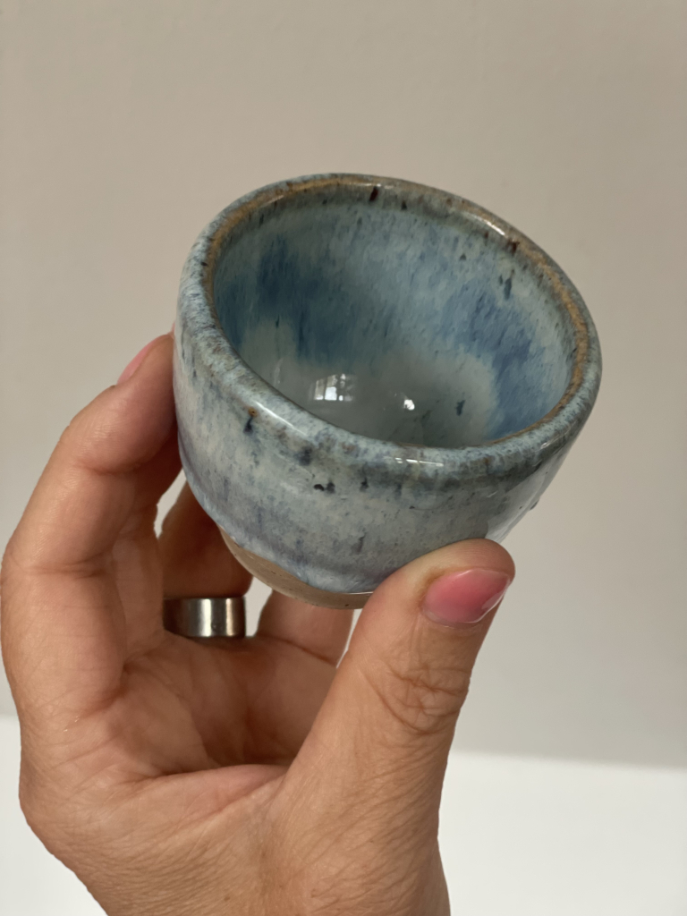 Nat. Jarošová 1.jpeg