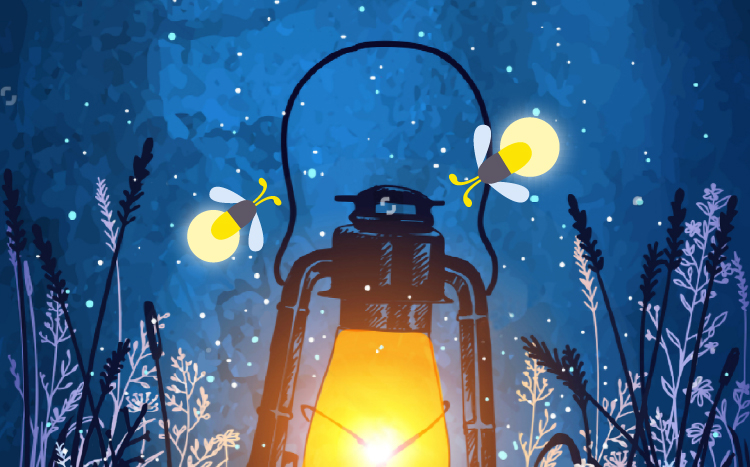 Dobrou noc, broučci