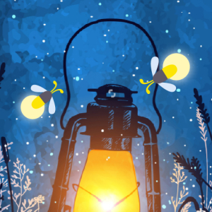 Dobrou noc, broučci