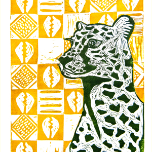 Výstava Na hraně světla a fantazie